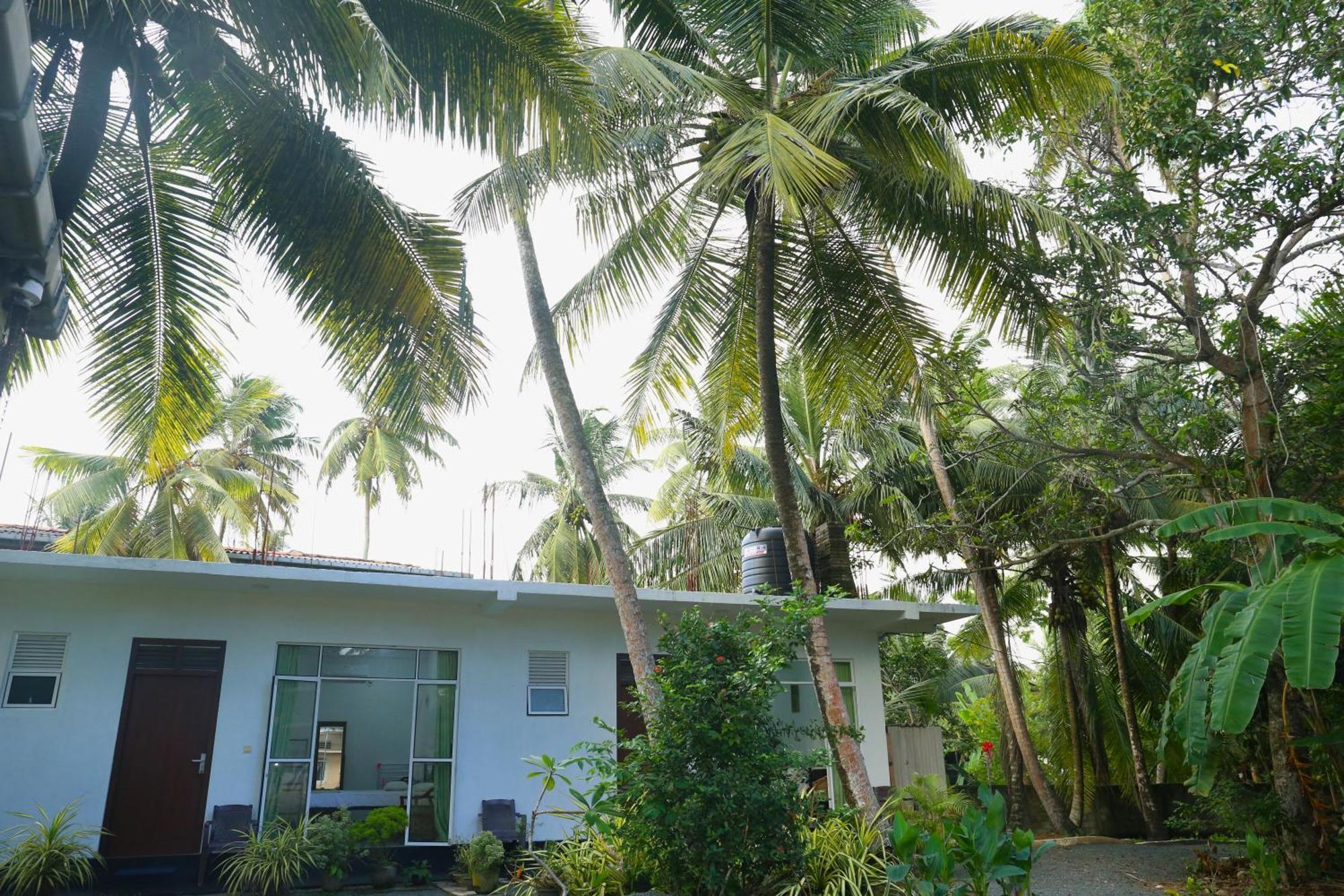 Sandy Palms Guesthouse 히카두와 외부 사진
