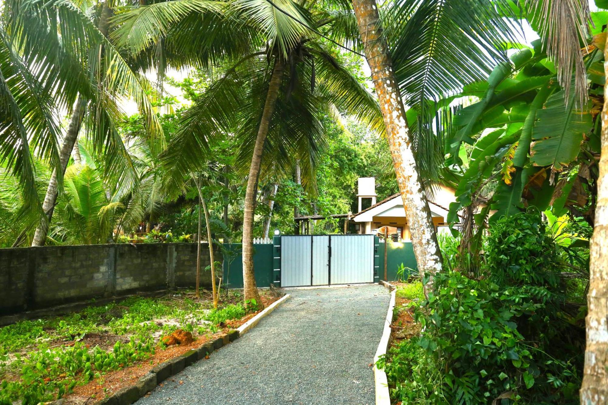 Sandy Palms Guesthouse 히카두와 외부 사진