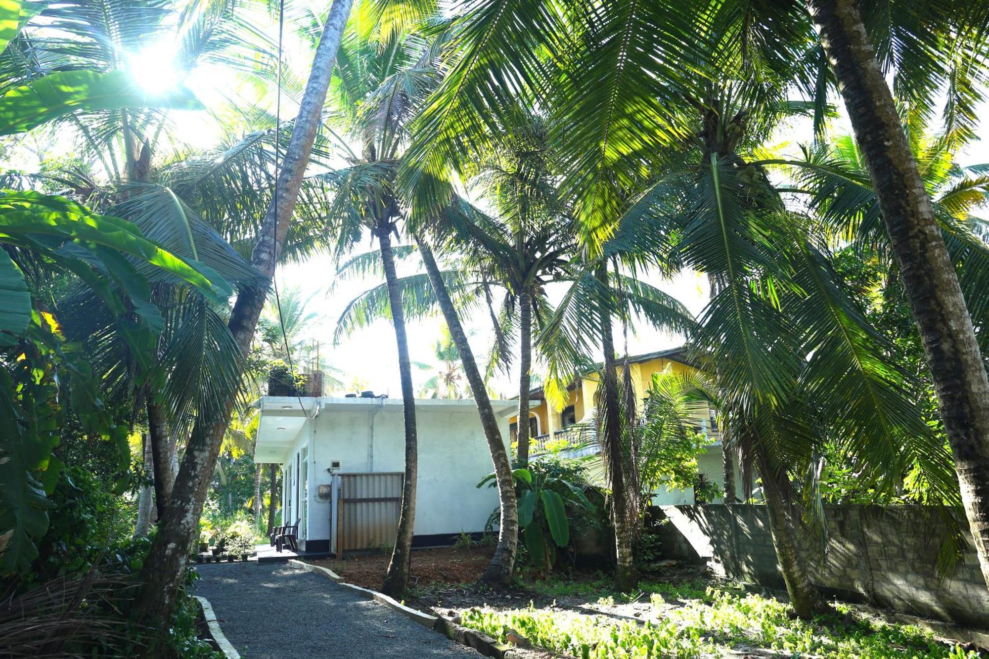 Sandy Palms Guesthouse 히카두와 외부 사진